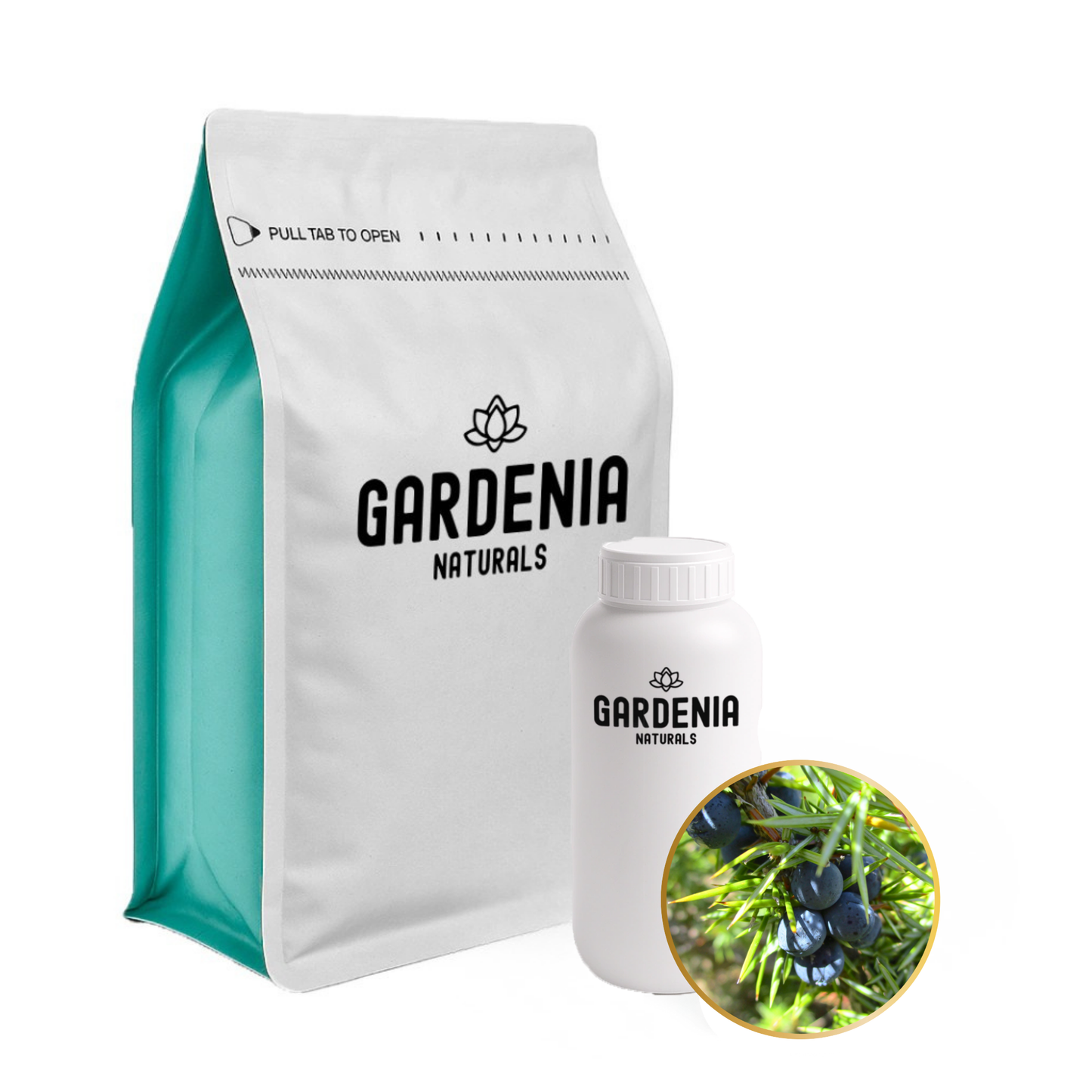 Jasmine Absolute Essential Oil Pure (Jasminum grandiflorum) – Luxurious Floral Absolute for Perfumery