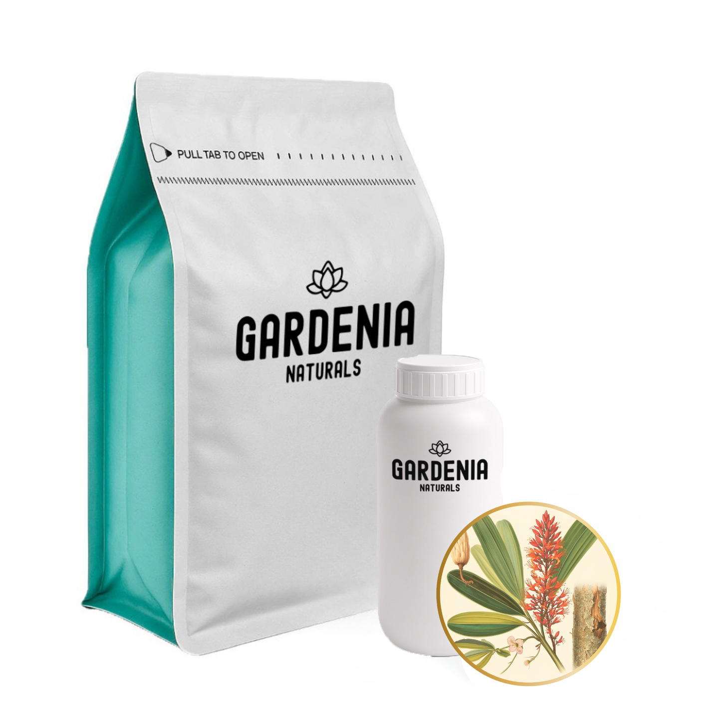 Niaouli Essential Oil (Melaleuca viridiflora) – Pure Cleansing Niaouli for Immunity and Respiratory Health