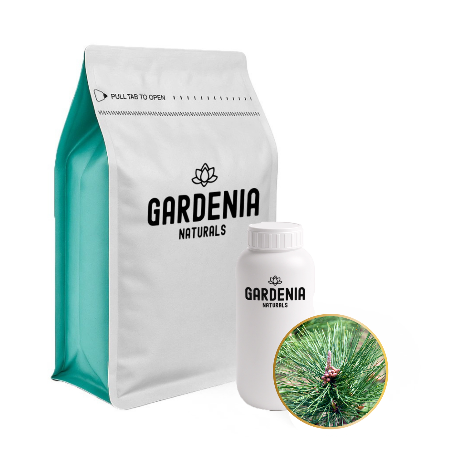 松树精油(马尾松)