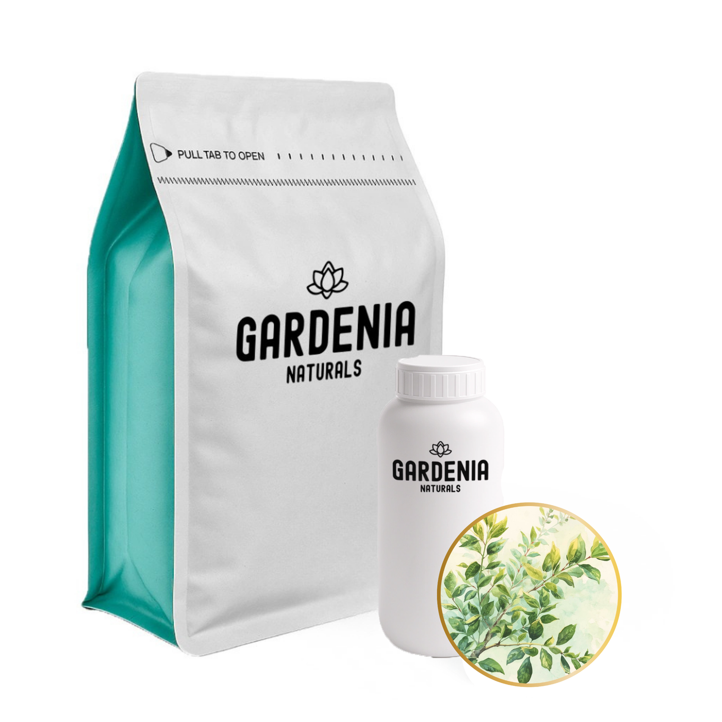 罗文莎叶精油(Ravensara aromatica)