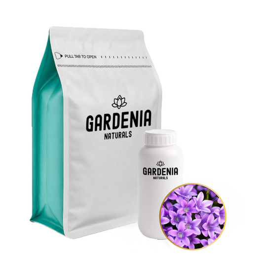 Violet Fragrance – Delicate & Powdery Floral Scent for Vintage Elegance