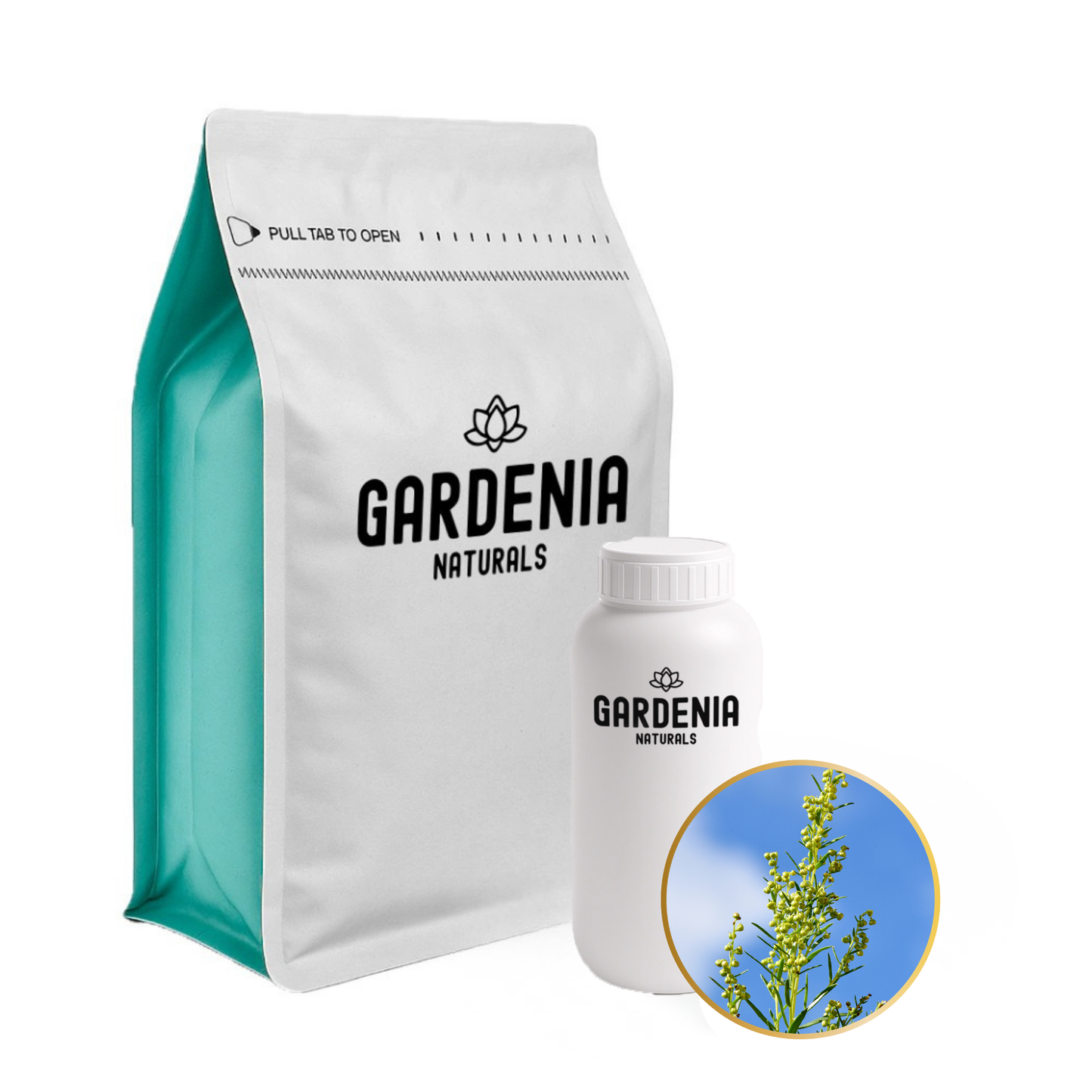 Tarragon Essential Oil (Artemisia dracunculus) – Herbal Tarragon for Digestive Support and Spice Blends