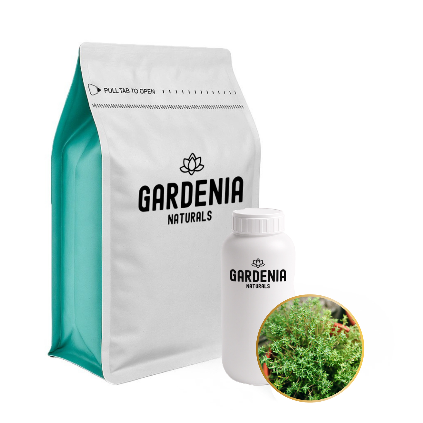 Aceite esencial de tomillo blanco (Thymus vulgaris)