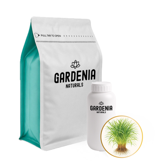 Vetiver Essential Oil Vetiveria zizanoides Earthy Vetiver Oil of Tranquility for Sleep and Calm - Pure natural carrier oil for skincare and aromatherapy