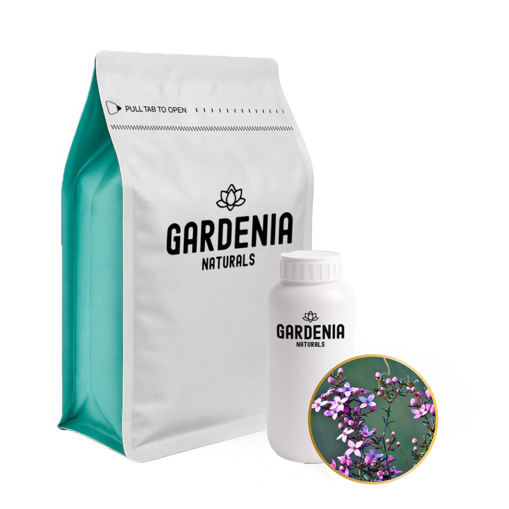 Boronia Fragrance Rare Australian Floral Aroma for Perfumery - Natural ingredient for professional and DIY cosmetic use