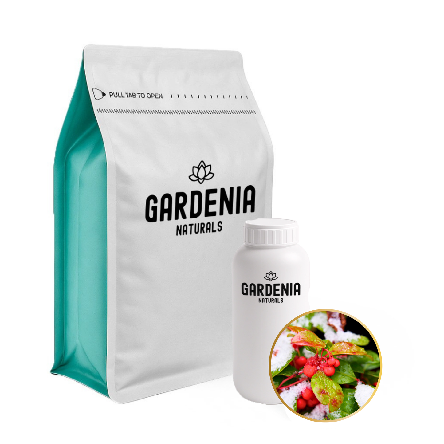 Wintergreen Essential Oil (Gaultheria procumbens) – High-Salicylate Oil for Muscle Rubs and Pain Relief