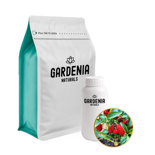 Chilli Capsicum Oleoresin – Potent Warming Chili Extract for Topical Heat Creams and Liniments