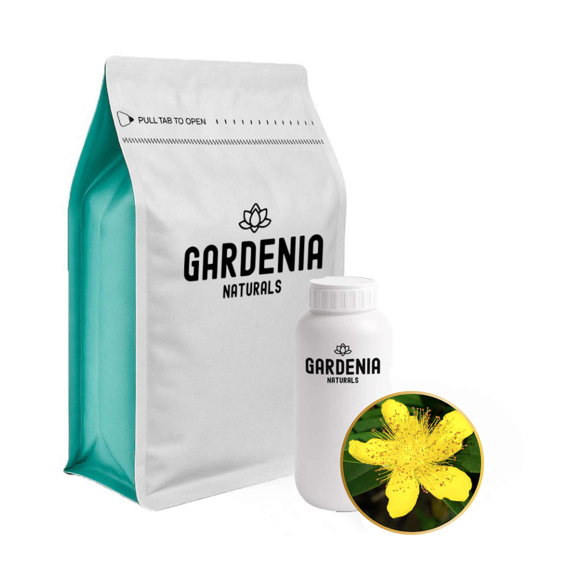Hypericum Infused Oil Therapeutic St Johns Wort Infusion for Nerve Skin Relief - Pure natural carrier oil for skincare and aromatherapy