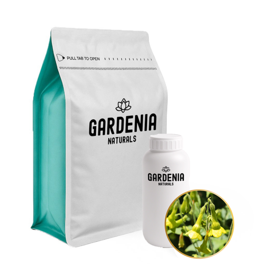 Copaiba Balsam Essential Oil – Gentle Resinous Copaiba for Skin Repair and Calming Relief