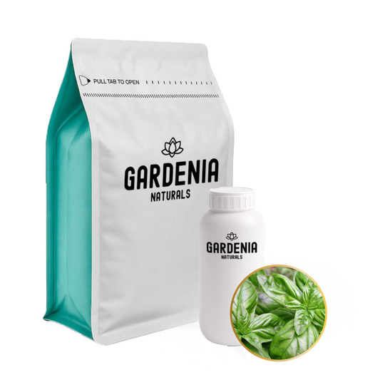 Basil Essential Oil Refreshing Pure Basil Oil for Mental Clarity and Focus - Pure natural carrier oil for skincare and aromatherapy