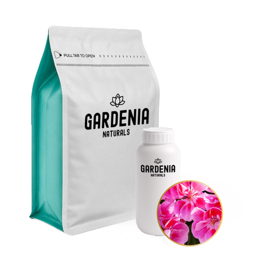 Geranium Fragrance Fresh Rosy Floral Scent for Relaxing Aromatherapy - Natural ingredient for professional and DIY cosmetic use