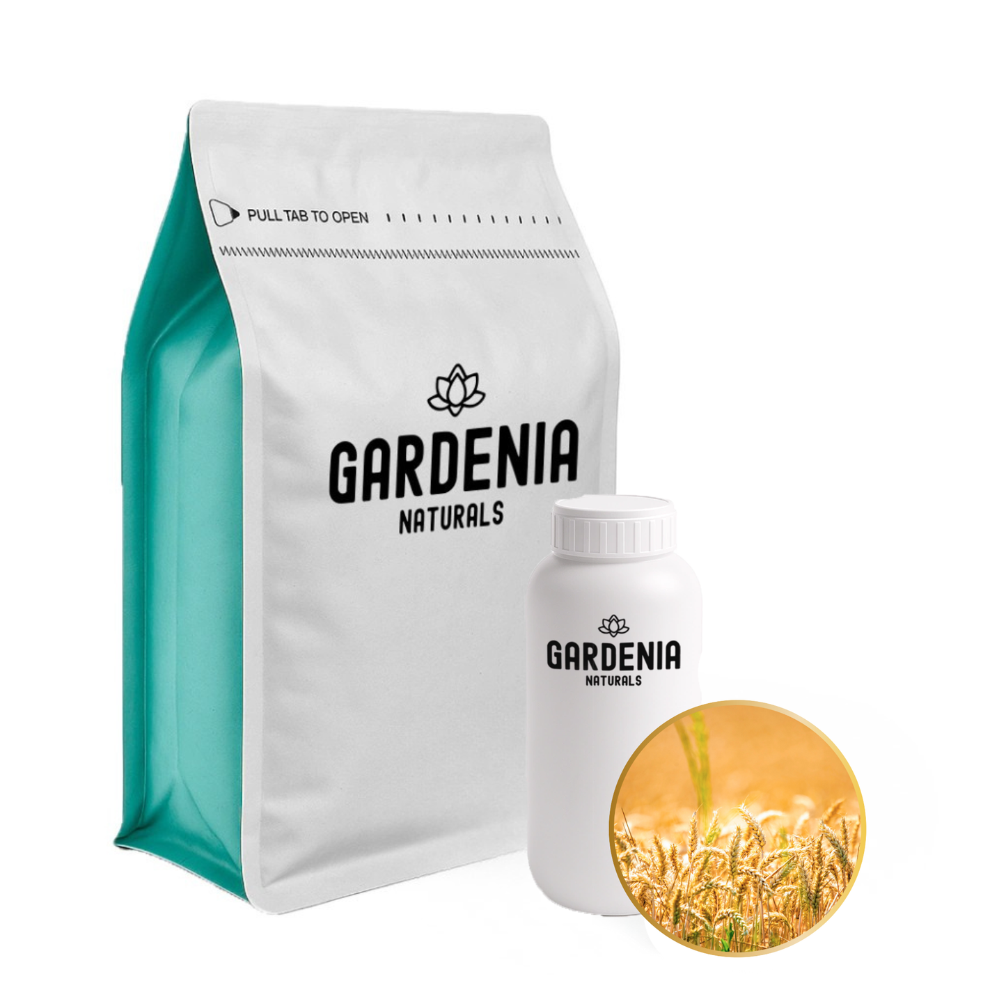 Wheatgerm Oil – High Vitamin-E Wheatgerm Oil for Product Preservation & Scar Care