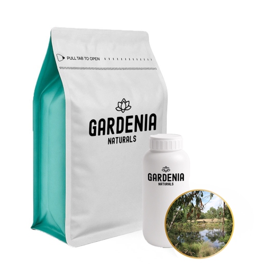 Australian Bush Fragrance – Authentic Eucalyptus & Pine Scent