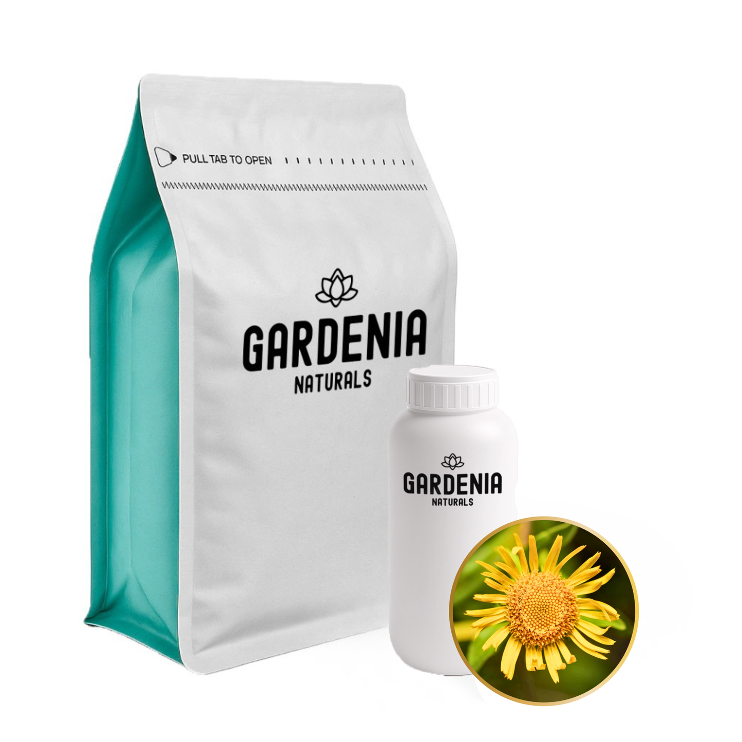 Arnica Infused Oil – Soothing Arnica Herbal Infusion for Muscle Recovery & Massage