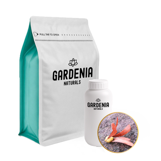 Gurjun Balsam Essential Oil – Resinous Gurjun Balsam for Skin Healing and Fragrance Fixative