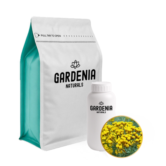 Helichrysum Essential Oil – Precious Immortelle Oil for Skin Repair and Scar Treatment