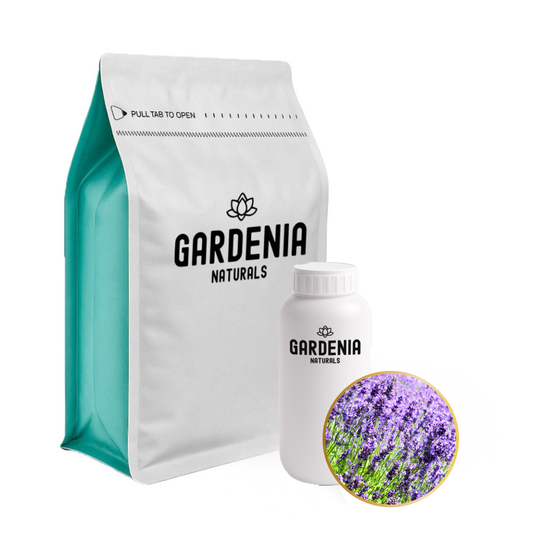 Kunzea Essential Oil (Kunzea ambigua) – Australian Kunzea for Muscle Pain and Skin Relief