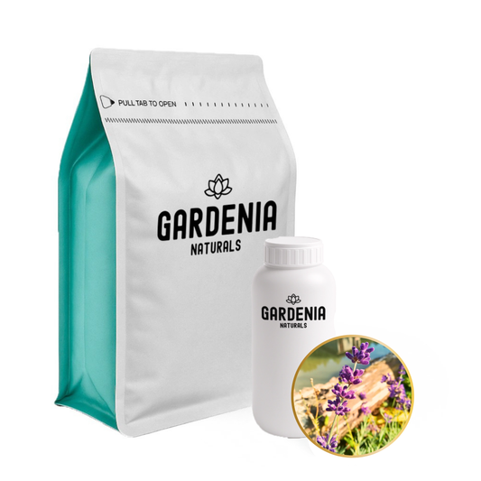 Lavandin Grosso Essential Oil Lavandula hybrida HighCamphor Lavandin for Relaxation and Soap Making - Pure natural carrier oil for skincare and aromatherapy