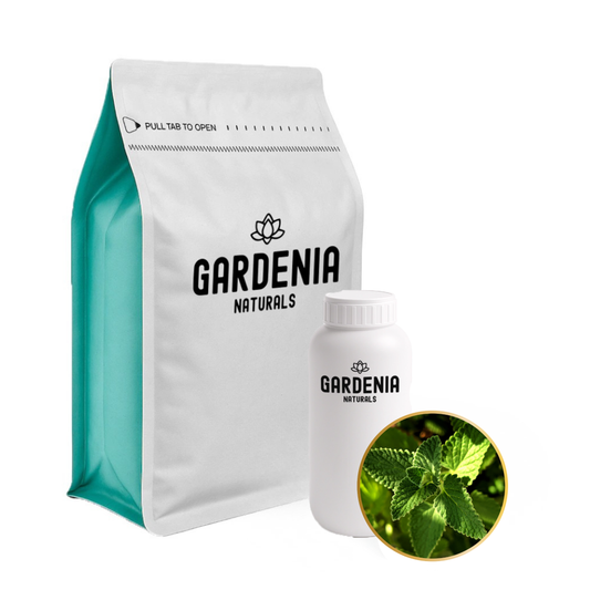 Mint Fragrance Cool Peppery Freshness for Clarifying Aromatherapy - Natural ingredient for professional and DIY cosmetic use