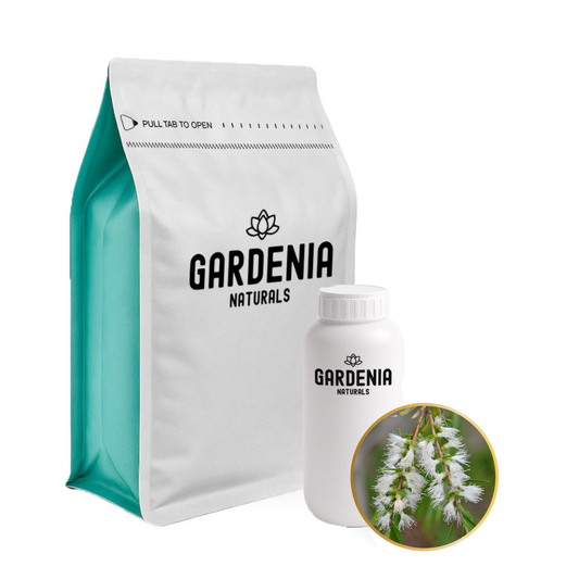 Cajeput Essential Oil – Pure Melaleuca Oil for Respiratory Support and Natural Cleansing