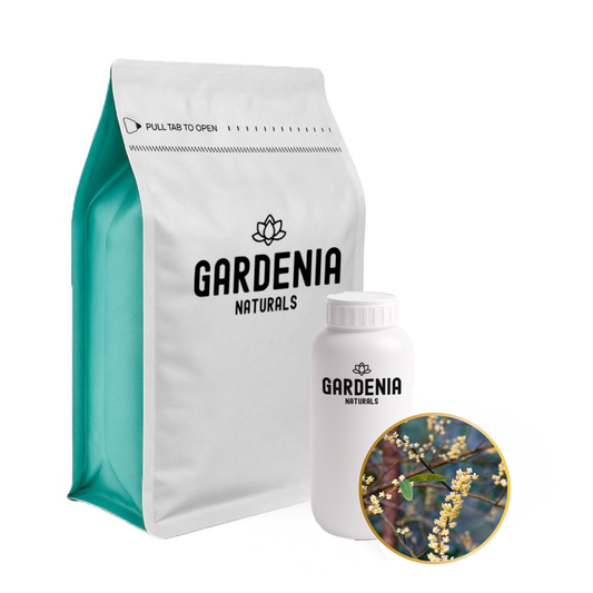 Litsea Cubeba Essential Oil (May Chang) – Refreshing May Chang for Oily Skin and Anxiety Relief