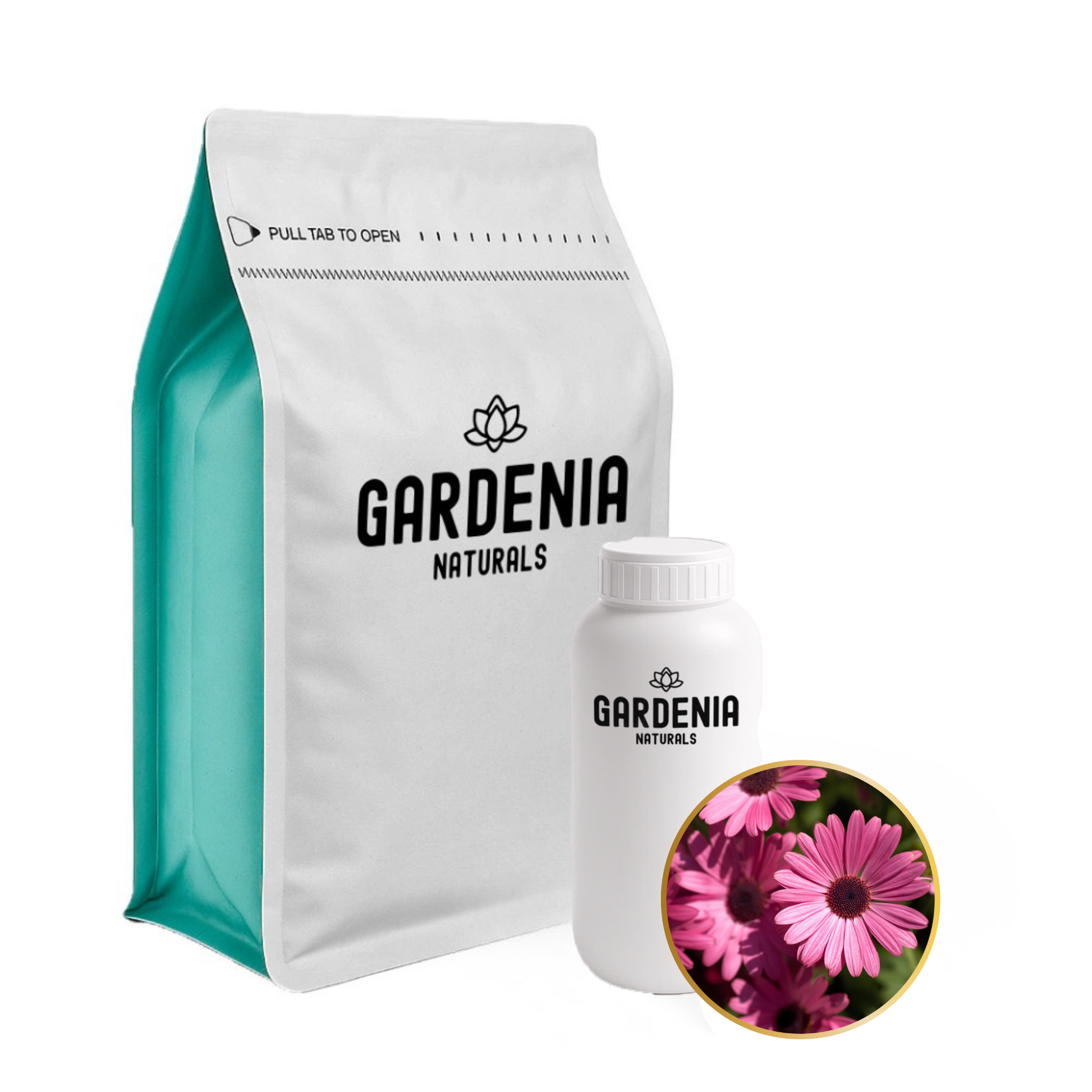 Pink Daisies Goji Berry Fragrance Playful Bright Scent for Youthful Products - Natural ingredient for professional and DIY cosmetic use
