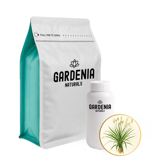 Palmarosa Essential Oil (Cymbopogon martini) – Floral Palmarosa for Skin Hydration and Balance