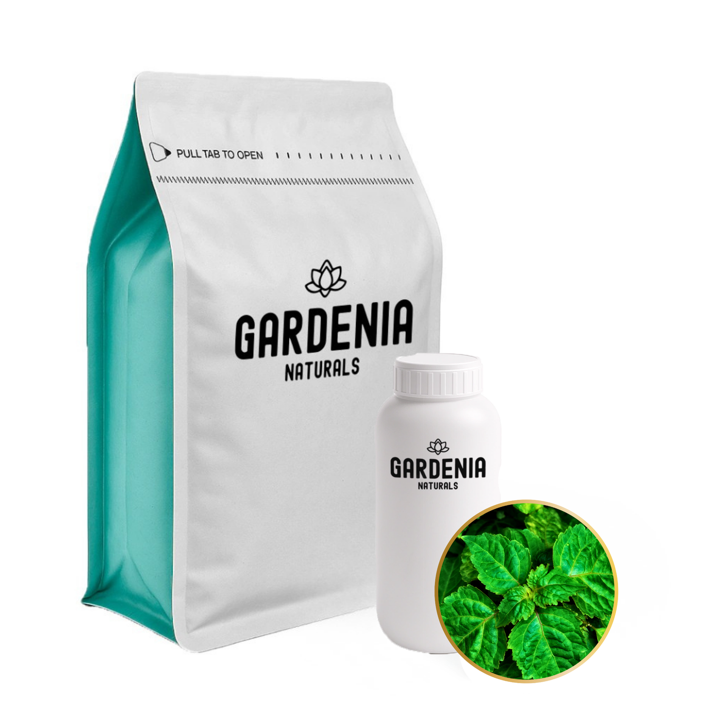 Patchouli Essential Oil (Pogostemon cablin) – Earthy Patchouli for Grounding Focus and Skincare