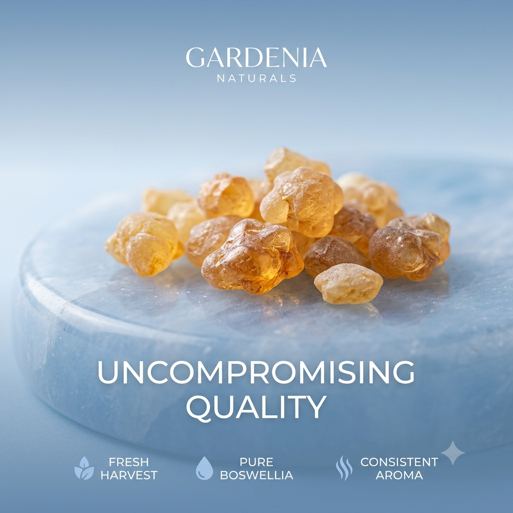 Frankincense Granules Pure Aromatic Tears for Incense Infusions - Natural ingredient for professional and DIY cosmetic use